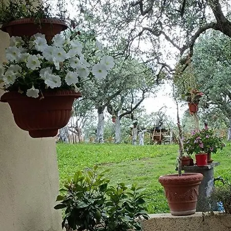 Il Cortiglione Apartment Frascati