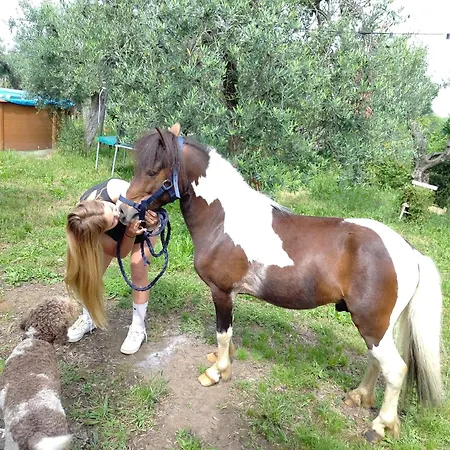 Il Cortiglione Lägenhet *